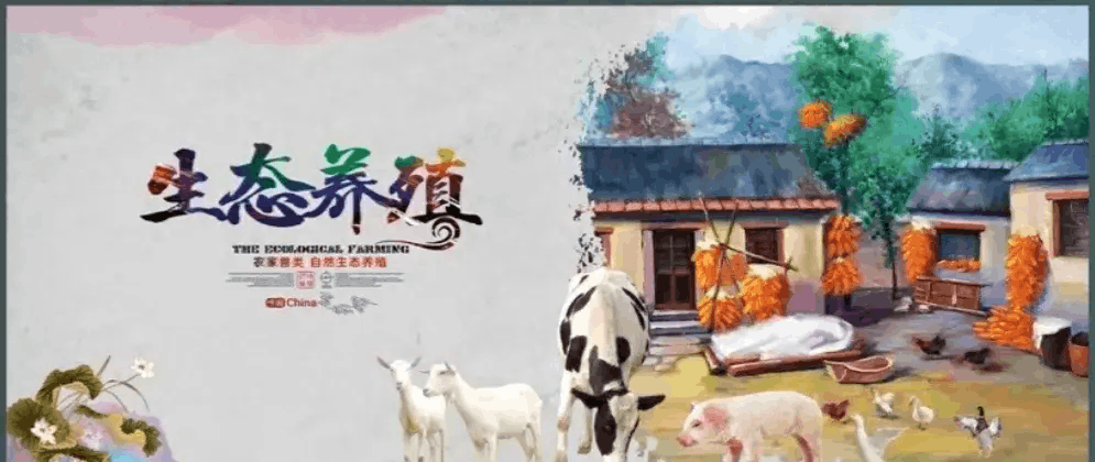 这些养殖项目，或许能让你收获满满红利！