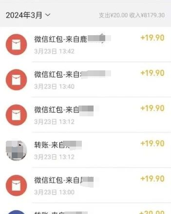 小众导航语音包项目，这样玩变现快，月入过万不是梦！