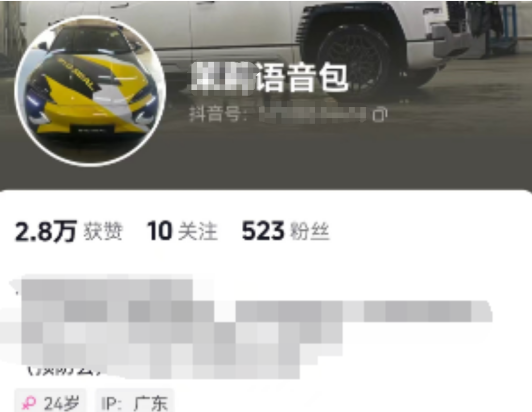 小众导航语音包项目，这样玩变现快，月入过万不是梦！