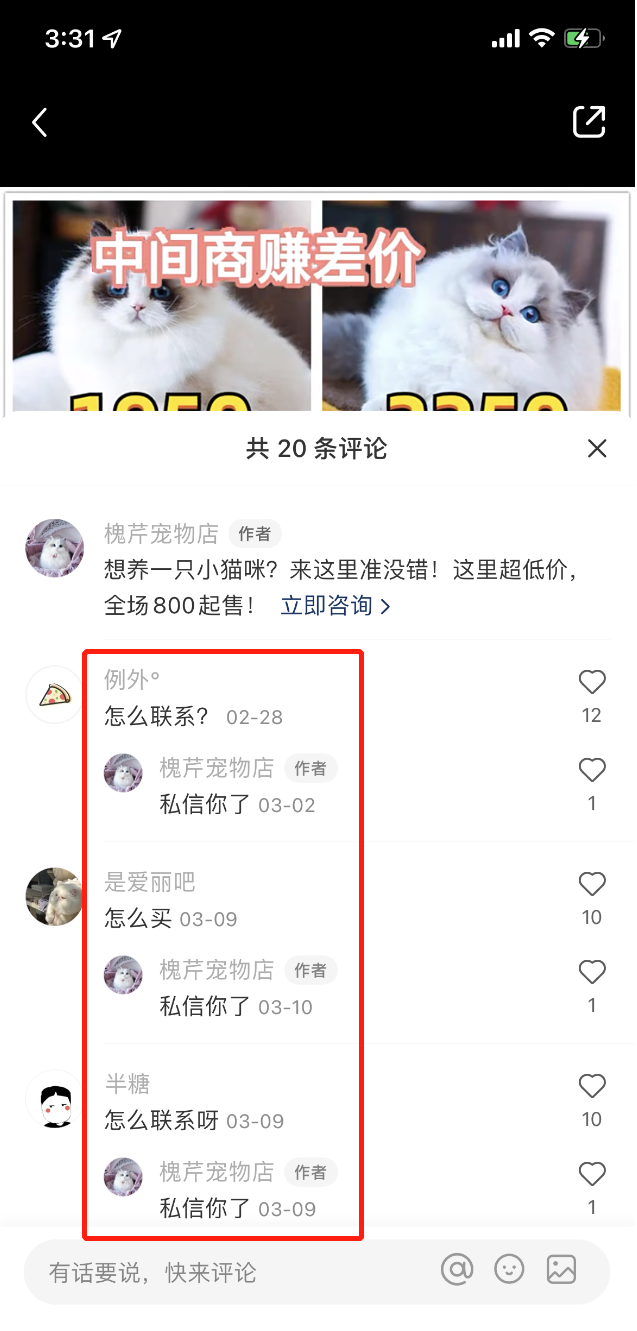小红书卖猫月入10w+？揭秘其背后的项目运作与思考