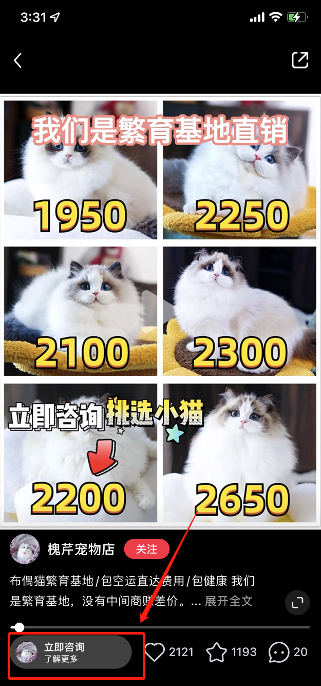 小红书卖猫月入10w+？揭秘其背后的项目运作与思考