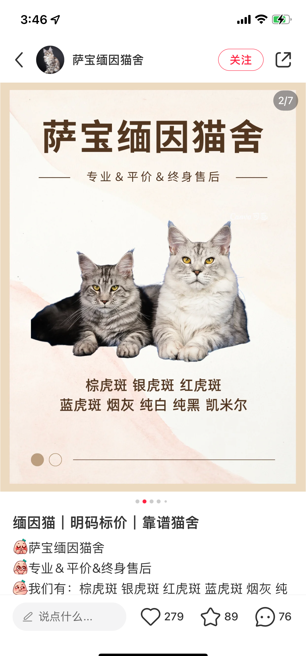 小红书卖猫月入10w+？揭秘其背后的项目运作与思考