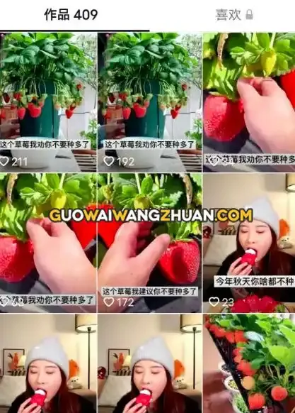 利润8元/单，垂直操作卖货号提升副业能力