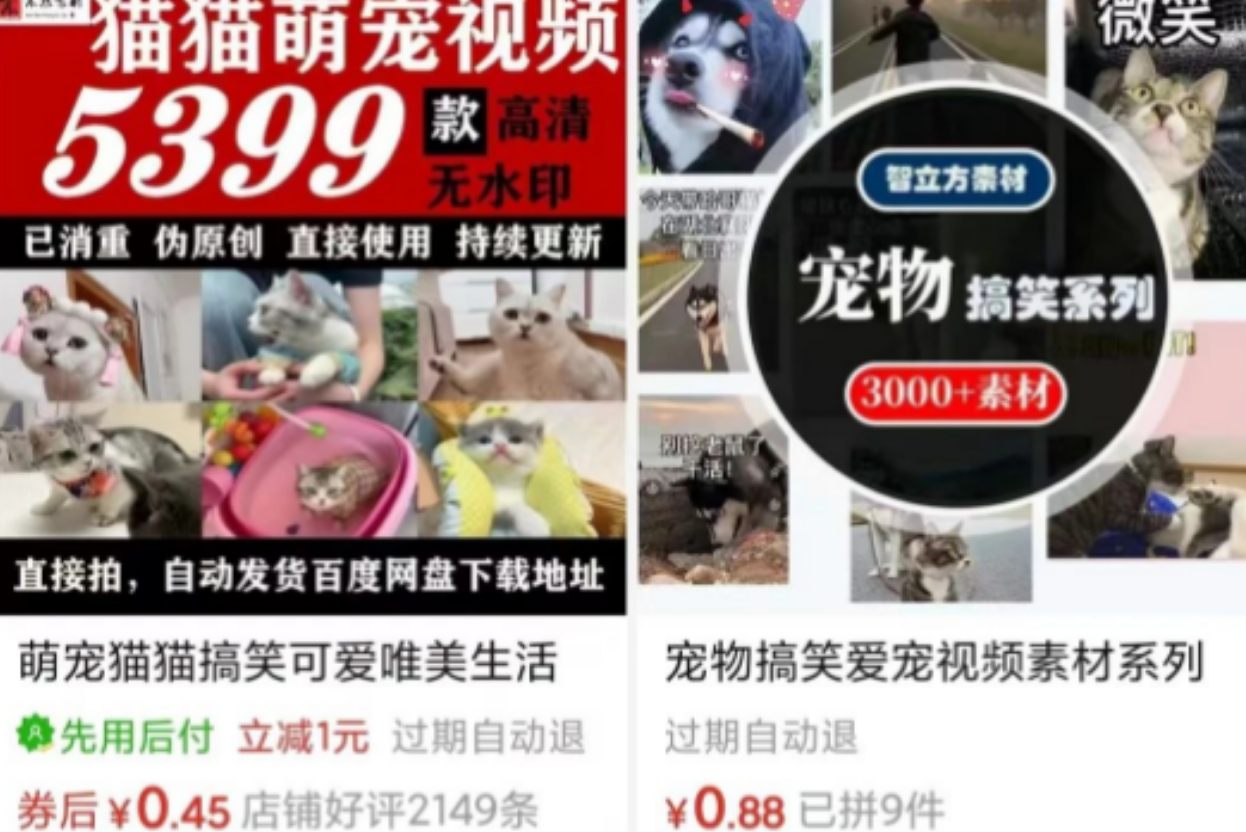 萌宠搞笑赛道揭秘：从养号到变现，轻松上手！