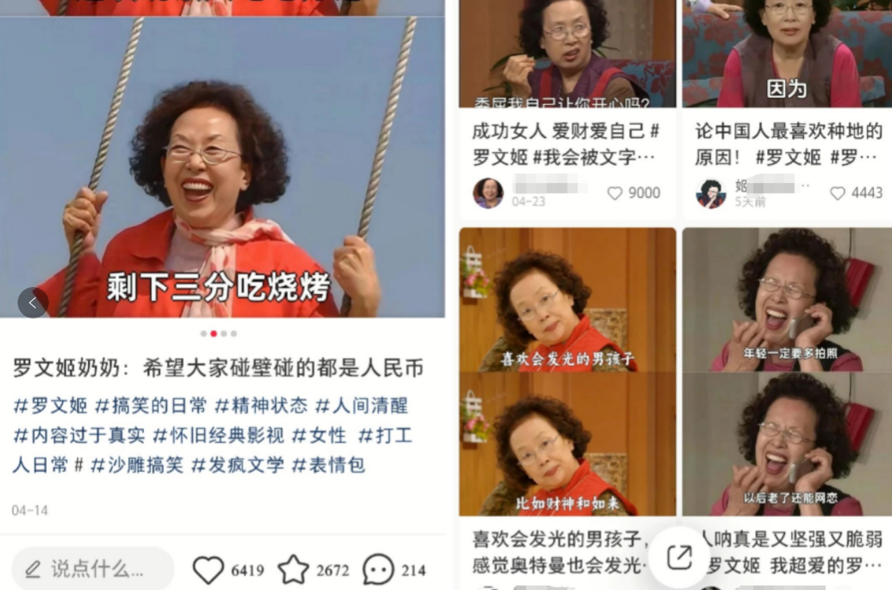 《跟着热度走！用罗文姬表情包在小红书轻松变现的玩法》
