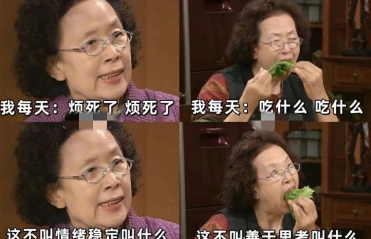 《跟着热度走！用罗文姬表情包在小红书轻松变现的玩法》