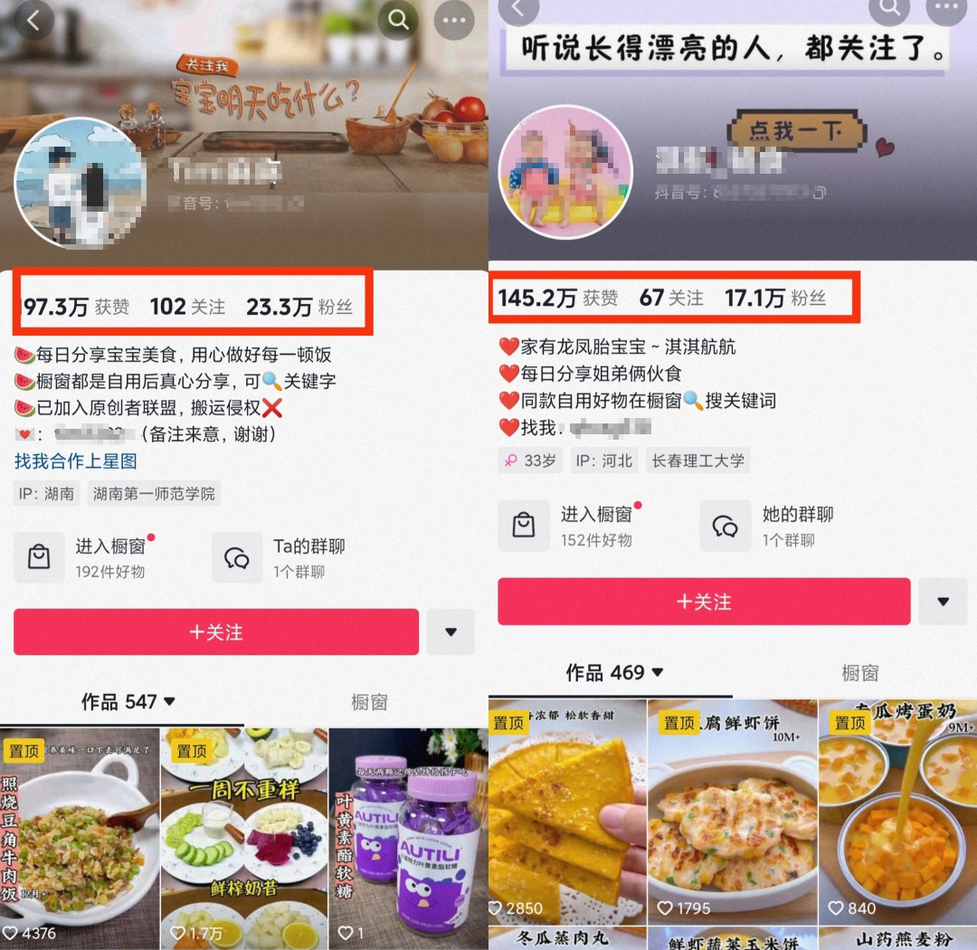 小众又有“钱途”的宝宝辅食项目，轻松上手月入过万！