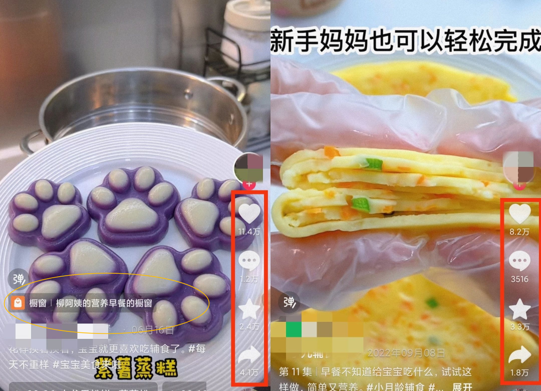 小众又有“钱途”的宝宝辅食项目，轻松上手月入过万！