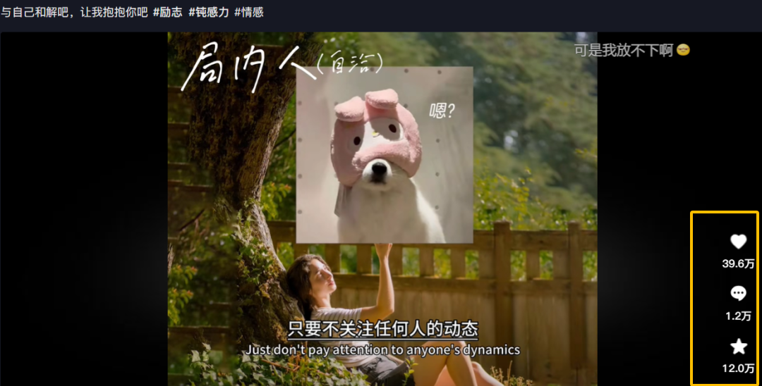 小众蓝海身心疗愈赛道，短视频玩法轻松变现！