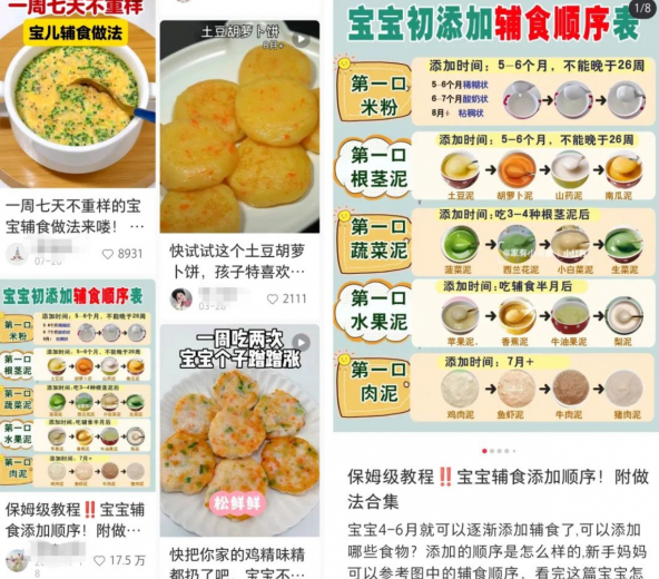婴儿辅食虚拟资料项目：零成本投入，社交媒体平台轻松变现攻略