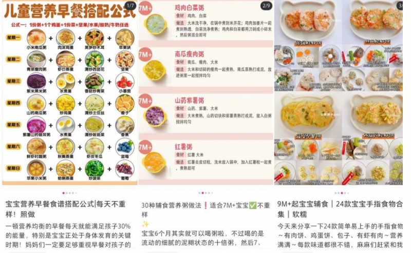 婴儿辅食虚拟资料项目：零成本投入，社交媒体平台轻松变现攻略