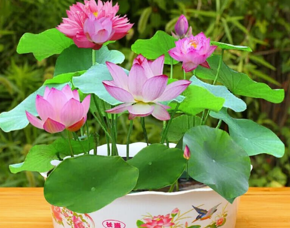 揭秘：1毛钱拿货，最高卖5块！这个地摊小生意利润可观