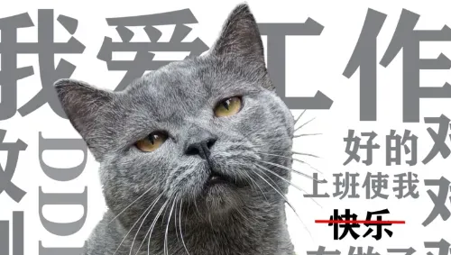 穷到吃土别慌！这7个零成本赚钱路子亲测有效