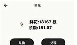 《轻松上手！打字聊天项目，空闲时间也能赚零花钱》