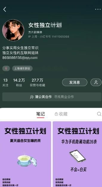 揭秘热门女性创富赛道：从零到一，如何打造属于自己的财富帝国