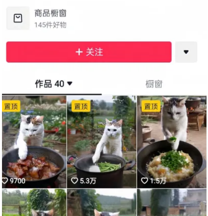 AI助力！靠“会做饭的猫”视频，10个作品涨粉2万还接商单不断