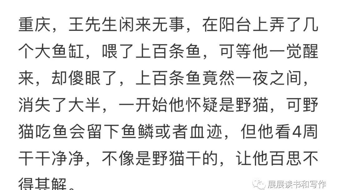 新手小白必知！威头条本地热点领域爆款攻略，速来Get！