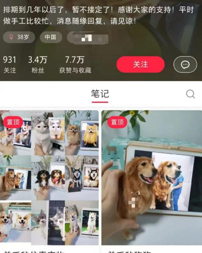 揭秘！宠物赛道暗藏商机，一条作品订单火爆背后的玩法