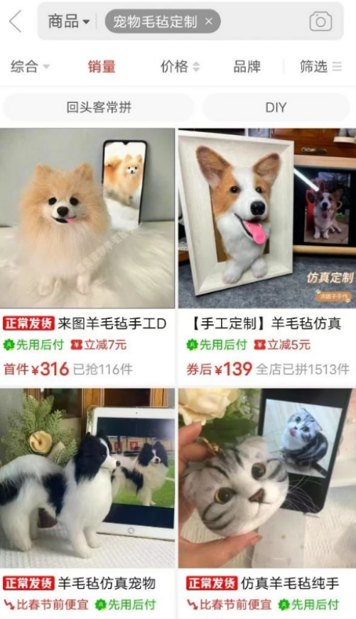揭秘！宠物赛道暗藏商机，一条作品订单火爆背后的玩法