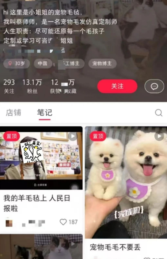 揭秘！宠物赛道暗藏商机，一条作品订单火爆背后的玩法