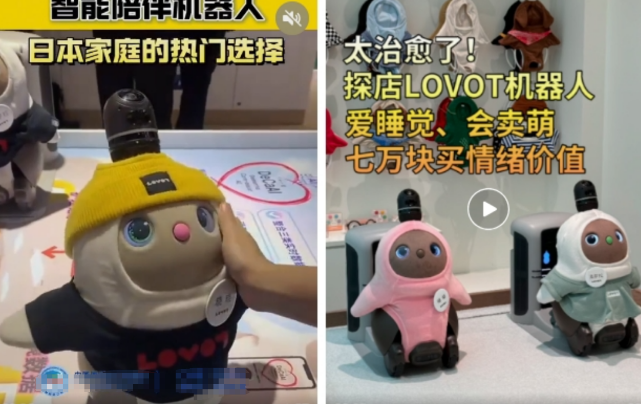 揭秘！宠物赛道暗藏商机，一条作品订单火爆背后的玩法