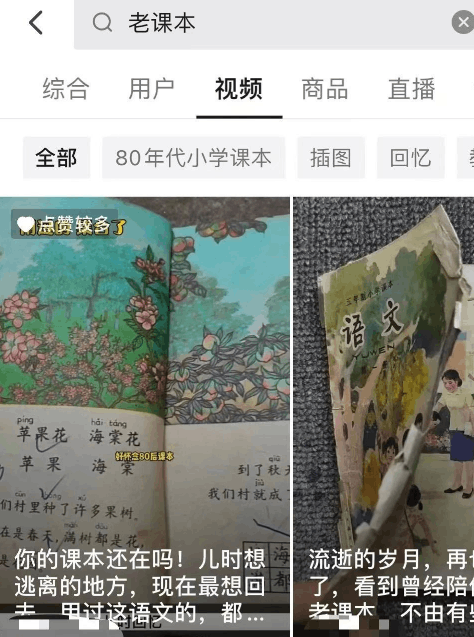 老课本项目：轻松获取高流量及变现的玩法全解析