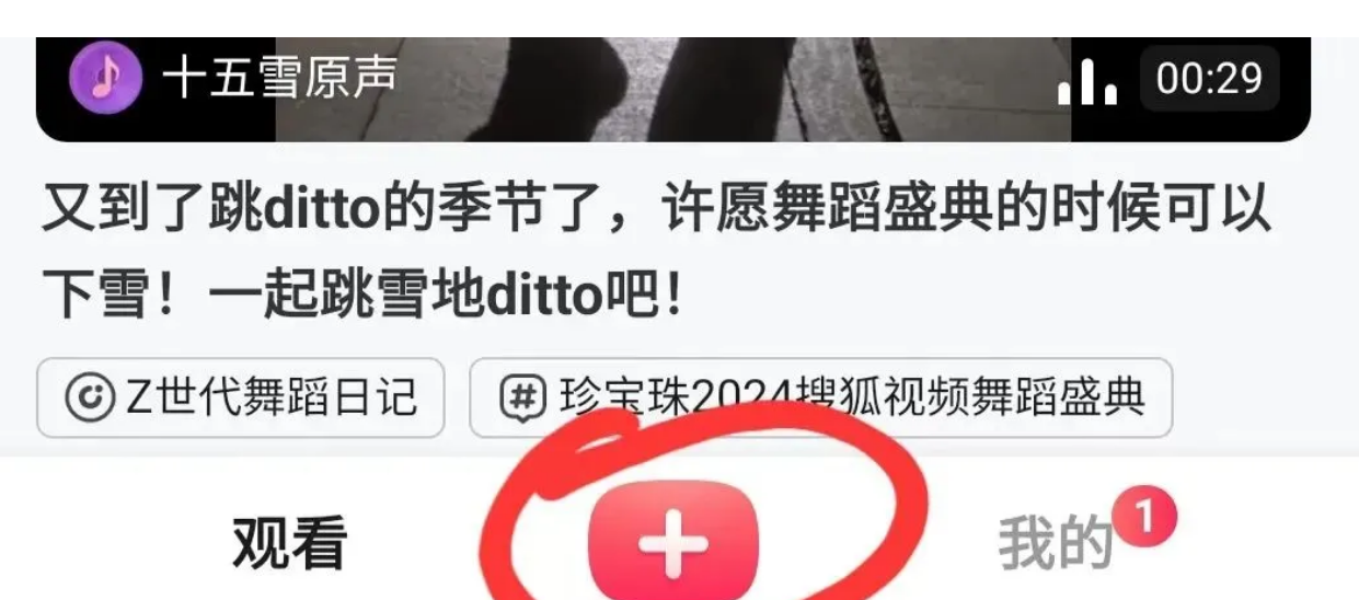搜狐视频搬砖项目，轻松上手有收益，附详细操作流程！