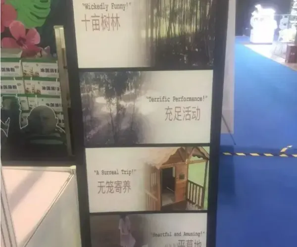 轻创业新机遇：探秘宠物行业冷门市场——宠物寄养服务