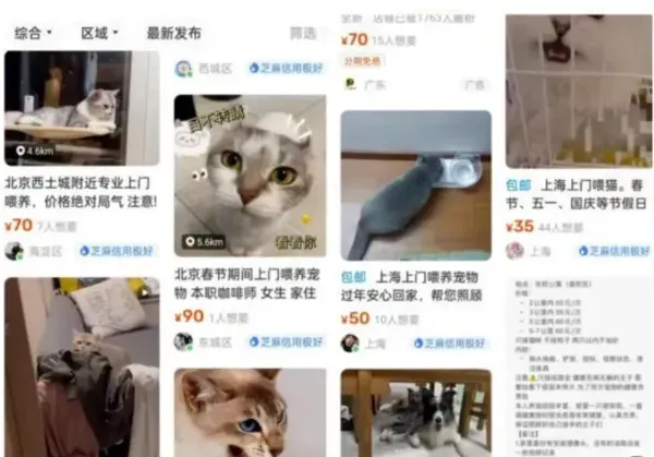 轻创业新机遇：探秘宠物行业冷门市场——宠物寄养服务