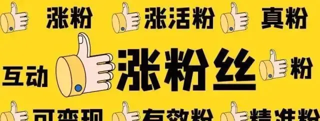 短视频涨粉秘籍：5大热门领域内容及创作技巧全解析