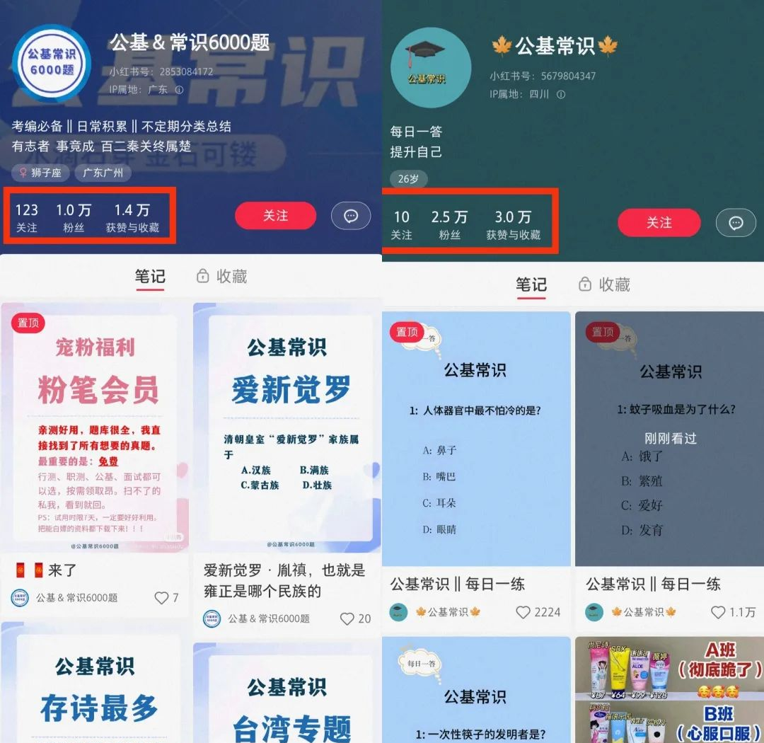 小红书商单升级玩法大揭秘：新手也能轻松上手，收益可观！