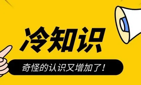冷知识赛道的隐藏金矿：如何靠“反常识”内容闷声发财