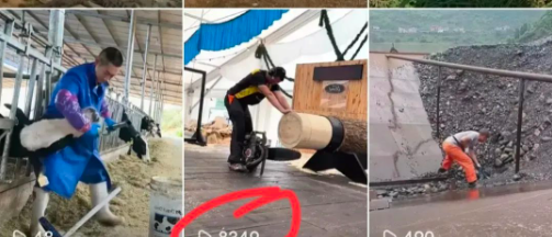 亲测!vivo短视频搬运项目,新手也能轻松撸收益