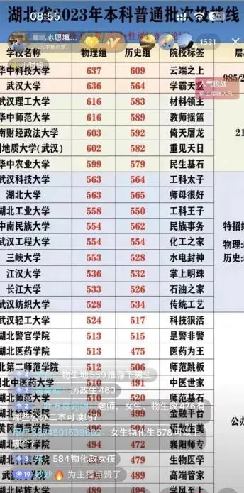 高考“智赢”升学规划项目：单人收益破万元，全方位解析高考之路