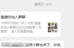 今年众多团队为何走向倒闭？深度剖析背后原因