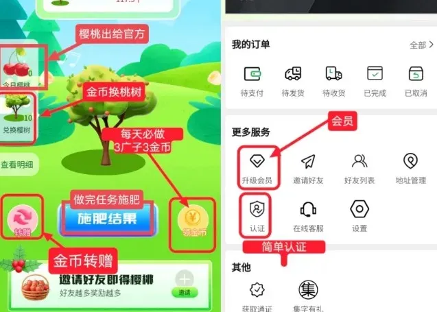 樱淘生活全新玩法揭秘：轻松赚钱攻略大全