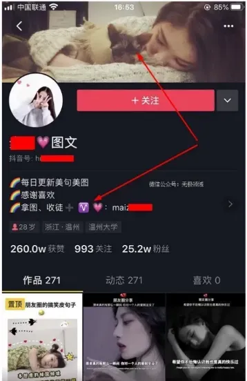 小众软件自媒体的运营价值与发展潜力