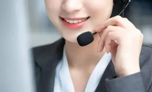 在家也能当客服？蚂蚁云客服的真实收入揭秘！