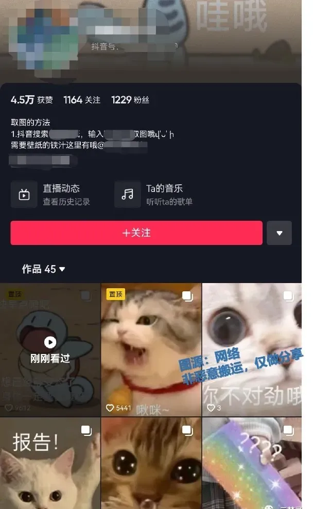 表情包也能赚钱？有人靠搬运日入2000+真实经历分享