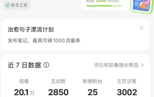 做小红书虚拟资料：300篇笔记赚不到300块 避坑指南