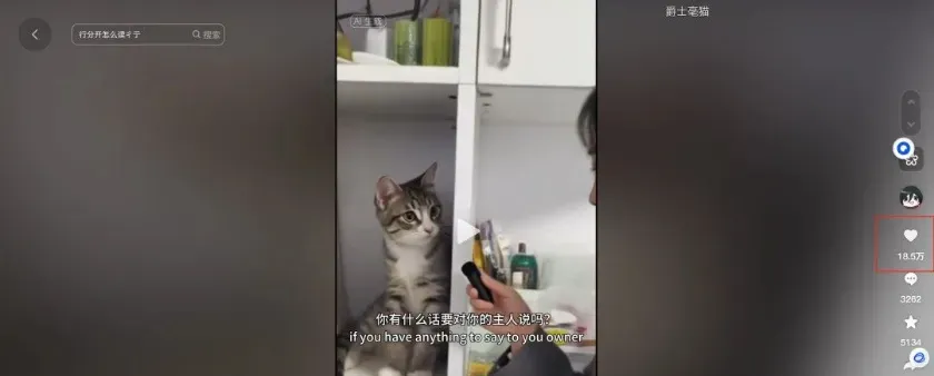 AI动物采访短视频，手把手教你打造爆款，附教程