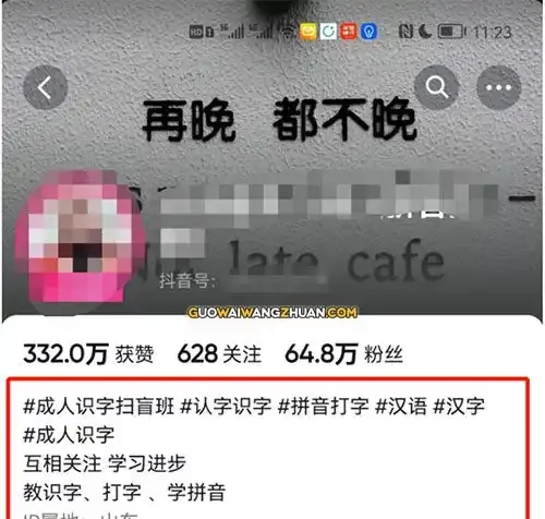 教成人识字，小众项目真的做起来还是很赚钱的