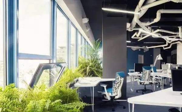 对于工作室来说，要找到一个好项目简直比登天还难