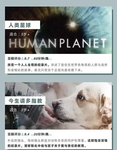 挖掘日常痛点背后的收益空间,普通人也能实现稳定收益