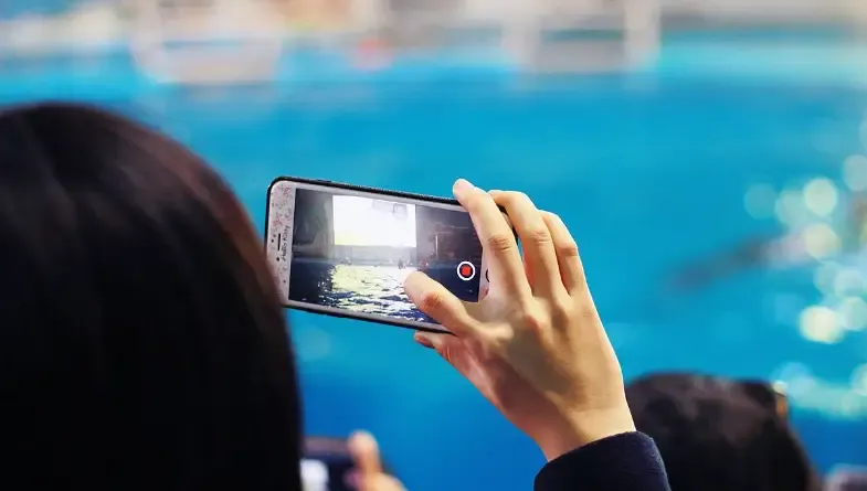 手机可以挣钱的副业有哪些？揭秘让你心动的赚钱机会！