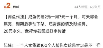 零门槛副业新选择：揭秘代挂项目的操作指南与收益分析