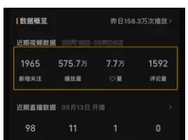 一天500+！揭秘高收益聊天视频项目的创富之路