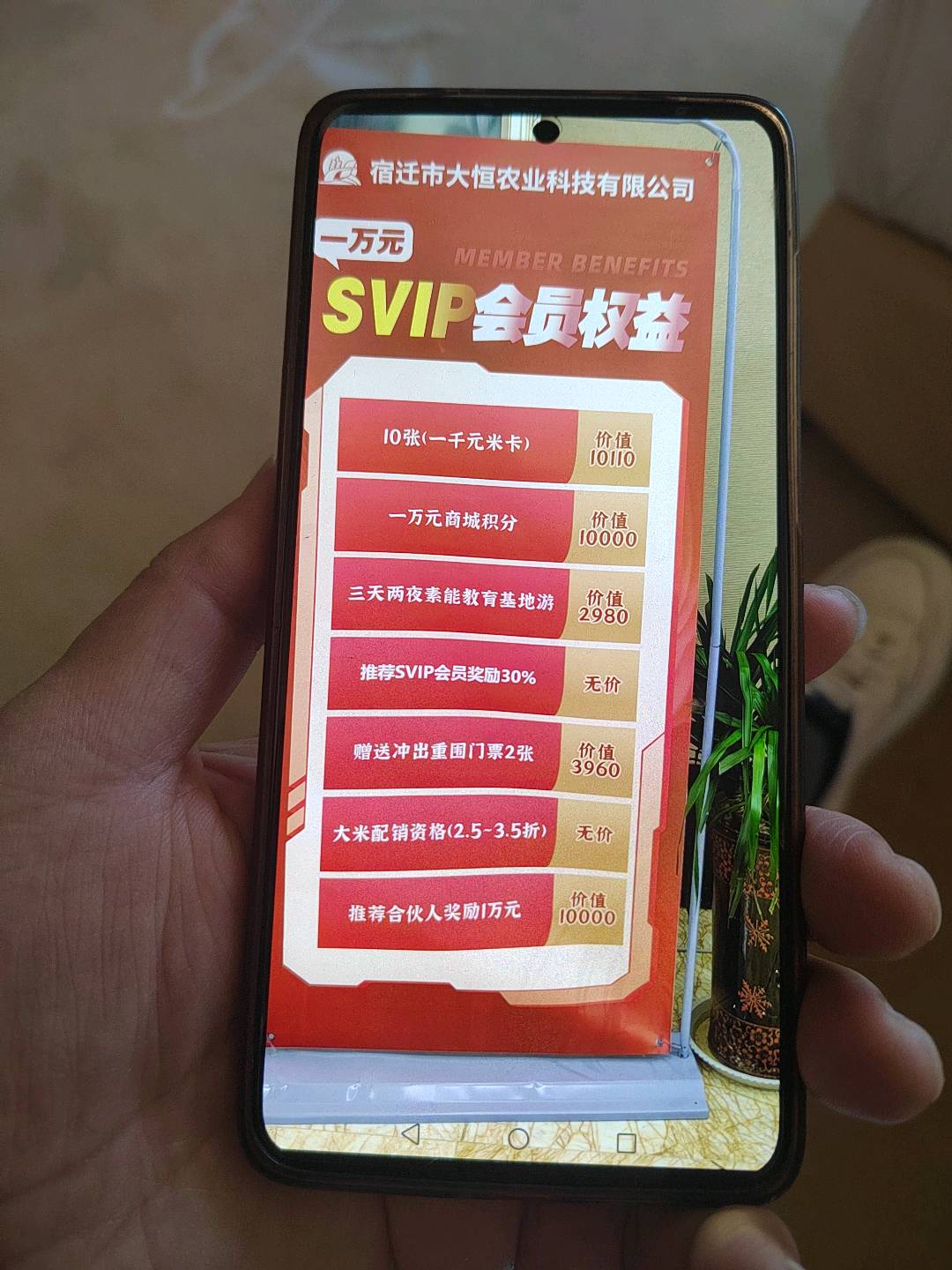 江苏沭阳大恒农业集团招募创业合伙人，共同拓展新研发高品质大米销售渠道