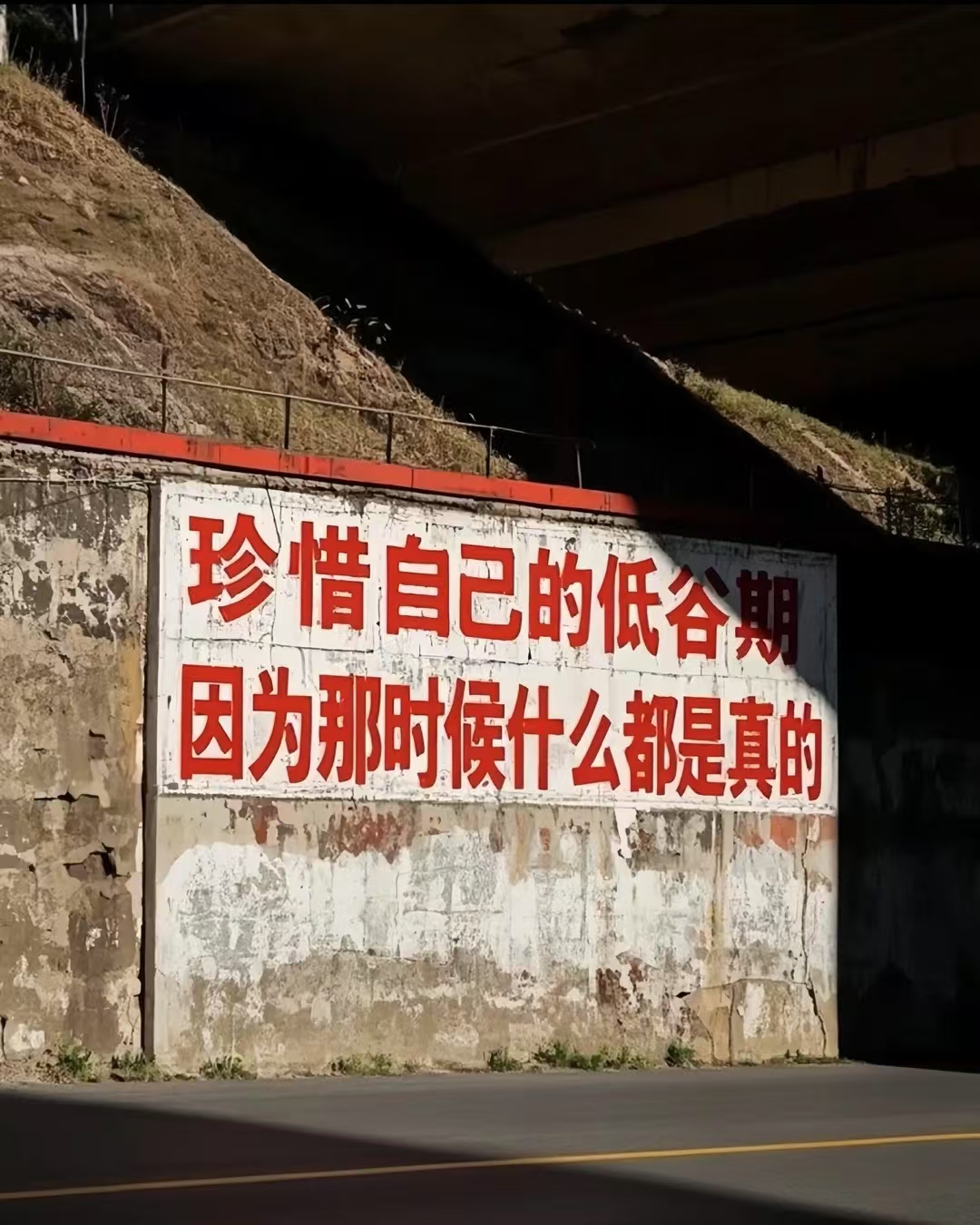 最新搬砖服 带徒弟手把手教 操作简单 当日可见收益