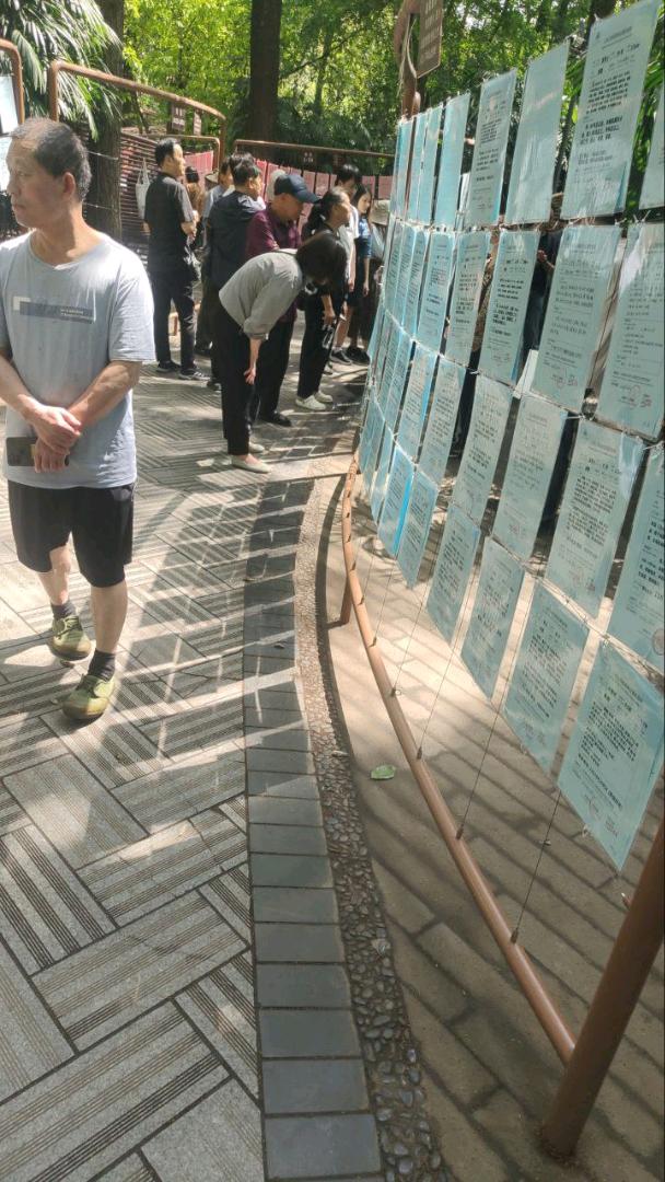 地推拍照，红娘相亲线下地推任务